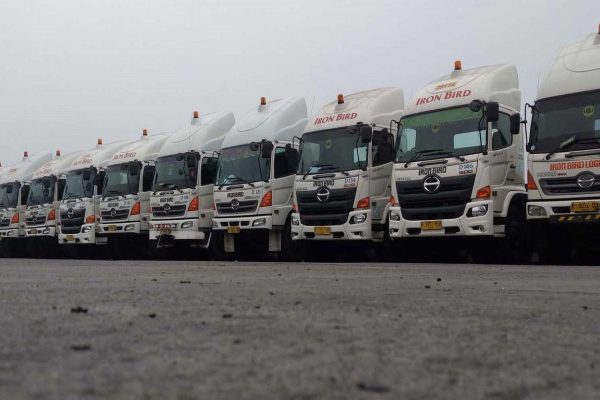 Iron Bird Logistic